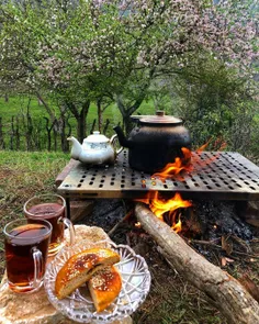 حال میده الان شمال همچین جایی باشی 😭