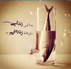 عین واقعیتـــ....√