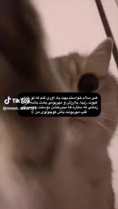 #گرباا