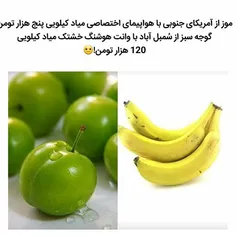 طنز و کاریکاتور homayn 23224485