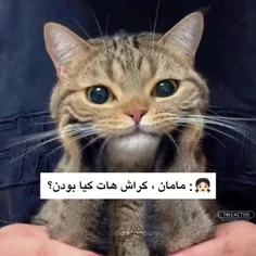 روزی میاد باید همینارو به بچه هامون بگیما💁‍♀️