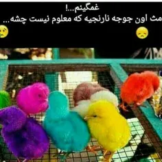 ای جونم چه نازن