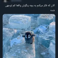 خدایااااااا اینا چرا انقدر کیوتن اخه؟ 🥺🥺🥺🫠🤏🏻