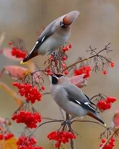 سلامی به زیبایی نگاه 