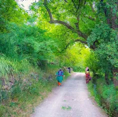 روستای زیبای گوشخالی...مسیر سنندج مریوان