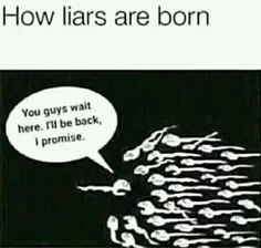 دروغگوها چگونه بوجود می آیند؟                          