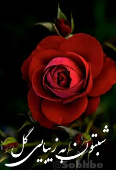 🌹خدایا