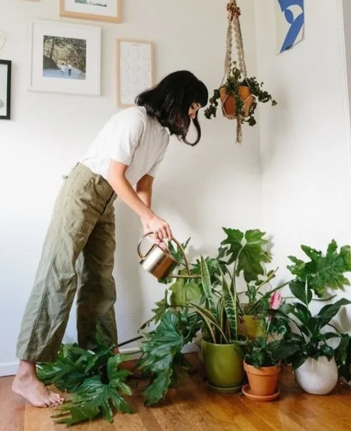 از بی ادبی کسی به جایی نرسید