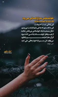 #خوشبختى سراغ کسانى می‌رود که بلدند بخندند.