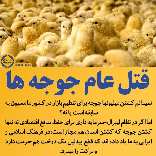 یه عده هم داریم سگ رو میپرستن ولی میلیون ها جوجه رو زنده 