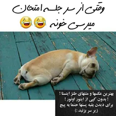 واقعنا