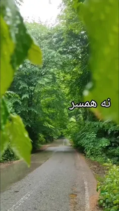 #عشق #زندگی #موزیک #تکست_ناب #فرزند #همسر #خوشبخت #محرم #