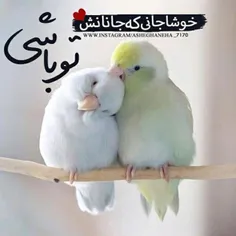 عاشقانه ها pariya_jooon 22332981