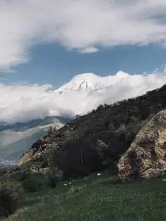 ارزوهایم را به قاصدک سپردم تا برایم خاطره کنی دشت زیبای ر