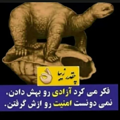 فهمیدن