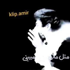 xx_xx_11_11_klip_amir 48472530