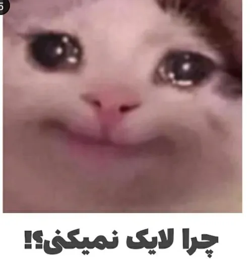 چرااااااا