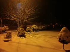 عکسی زیبا از زمستان 91 توسط خودم.