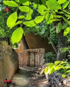 کوچه باغ های روستای لیوارجان شهر کلیساهای تاریخی