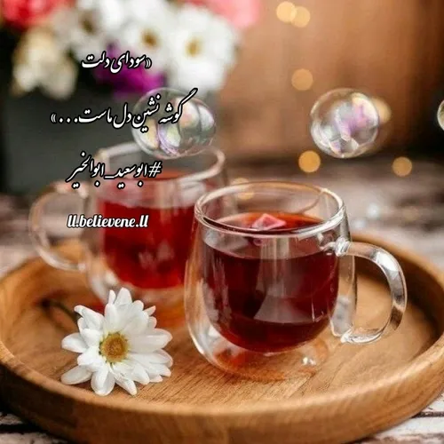 🌱🍒«سودای دلت گوشه نشین دل ماست...»🌱🍒