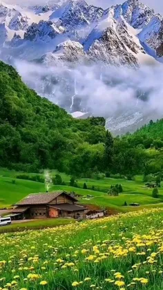 #طبیعت_زیبا_😍