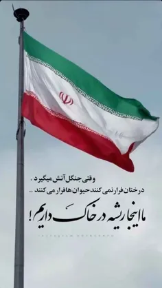 ما اینجا ریشه در خاک داریم 