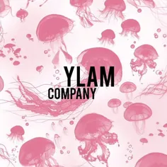 قوانین کمپانی وایلام / ylam company rules
