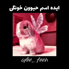 #ایده_اسم