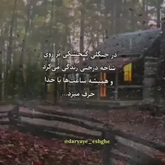 💙🦋 گاهی گذشت میکنم