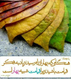 🍃 🌼 پیامبر رحمت(ص):