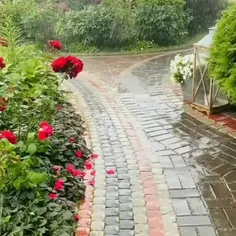 فقط یک چیز در زندگی،🌦🍃