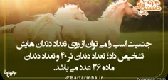 دانستنیها