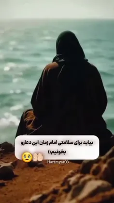 🍃🌺🍃🌺🍃🌺🍃🌺🍃🌺🍃