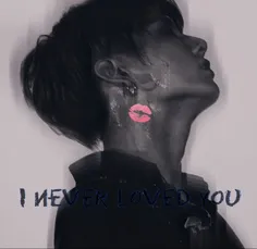 ♡pt: ⁴ ♡I never loved you