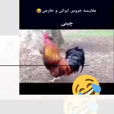 بیا کلی کلیپ باحال گذاشتم😍