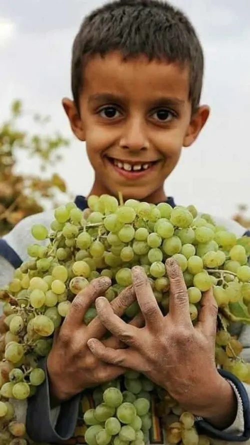 بفرمایید انگور عسلی 😋😍