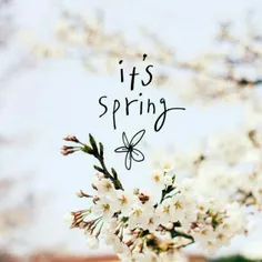 سلام بهار ،خوش اومدی !
