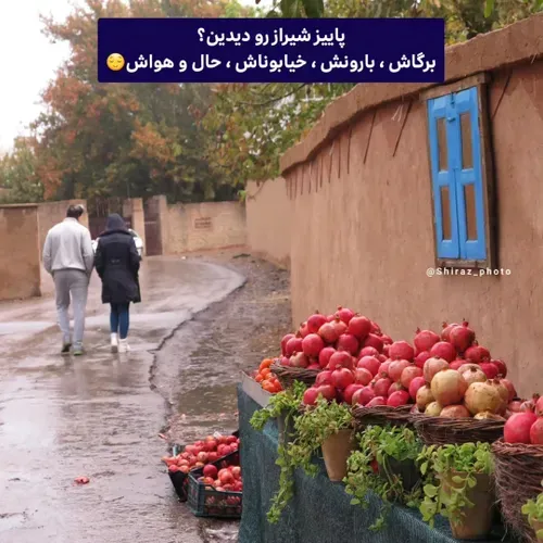 پاییز شیراز عالیه 🌧🍁