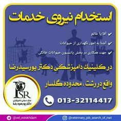 استخدام نیروی آقا یا خانم در یک کلینیک دامپزشکی در رشت