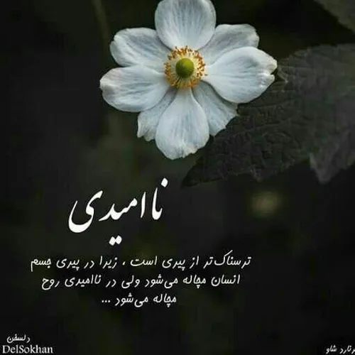 عکس نوشته مطلب