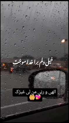 استاد دانشمند