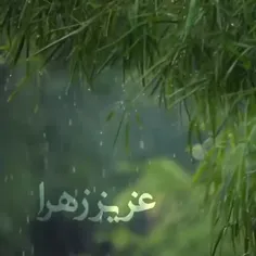 عزیز زهرا بقیه الله کجایی آقا ... تو رو قسم به زهرا برگرد.... 