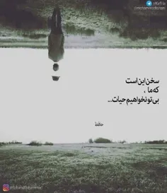 مرا جواب می کند 