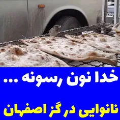 نانوایی واقع در گز اصفهان و گنجشکی که مهمان سفره شده است 