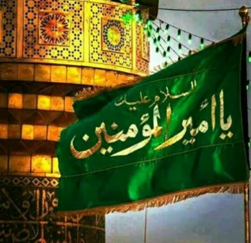 ✨ امام رضاع