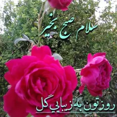 عاشقانه ها hosseinnaseri1300 25135372