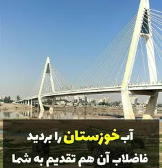 مولوی نماینده آبادان: آقای اردکانیان آب خوزستان را بردید،