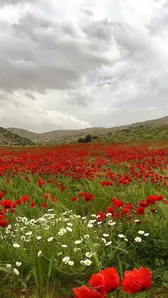 ایران من طبیعت زیبا 👌🏻😍#تصاویر_جذاب_دنی_زلزله👌🏻😍