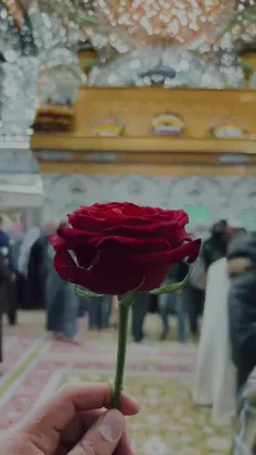 🦋🌷‏حسين صفحه شرف بيضه