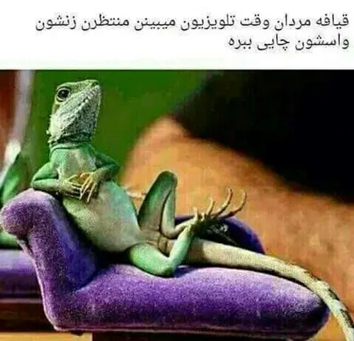 آقایون خخخخخخخ